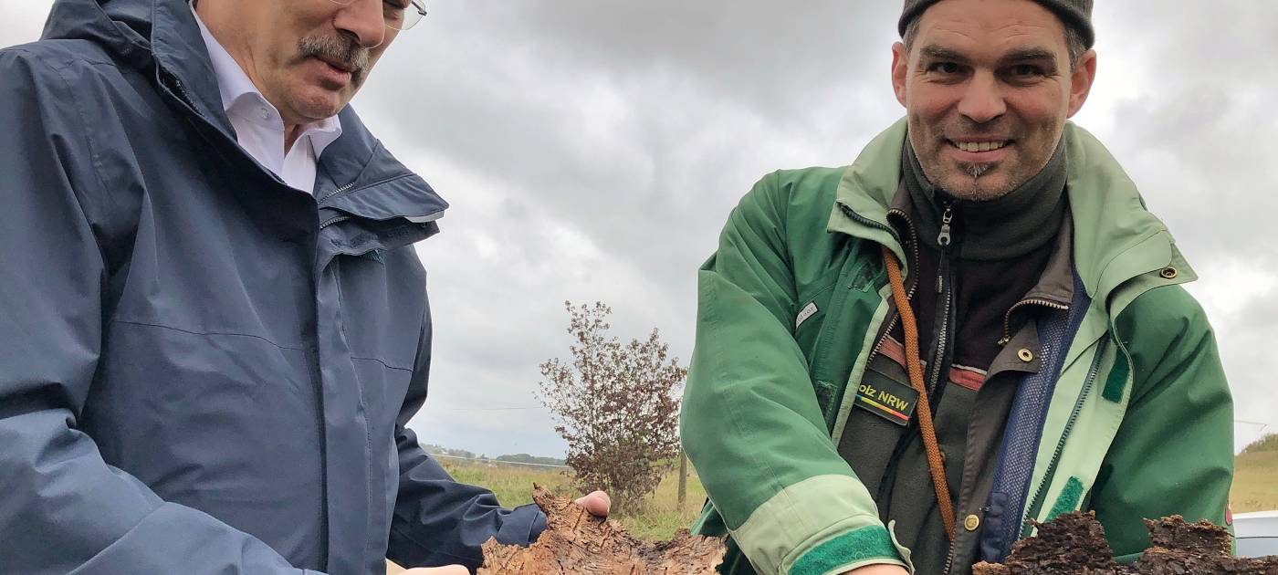 Käfer fressen den Kreis kahl!