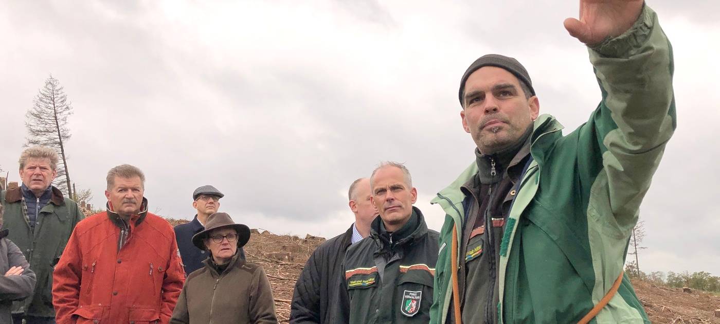 Käfer fressen den Kreis kahl!