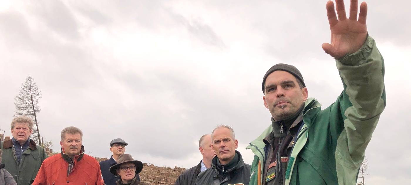 Käfer fressen den Kreis kahl!