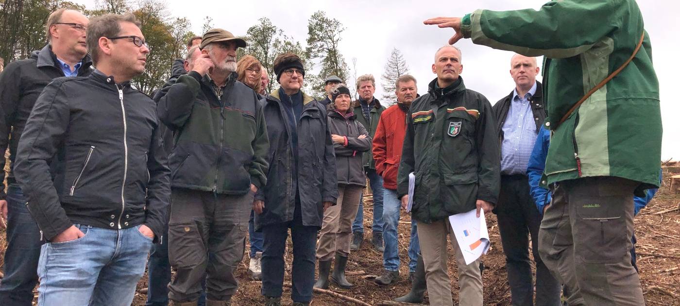 Käfer fressen den Kreis kahl!