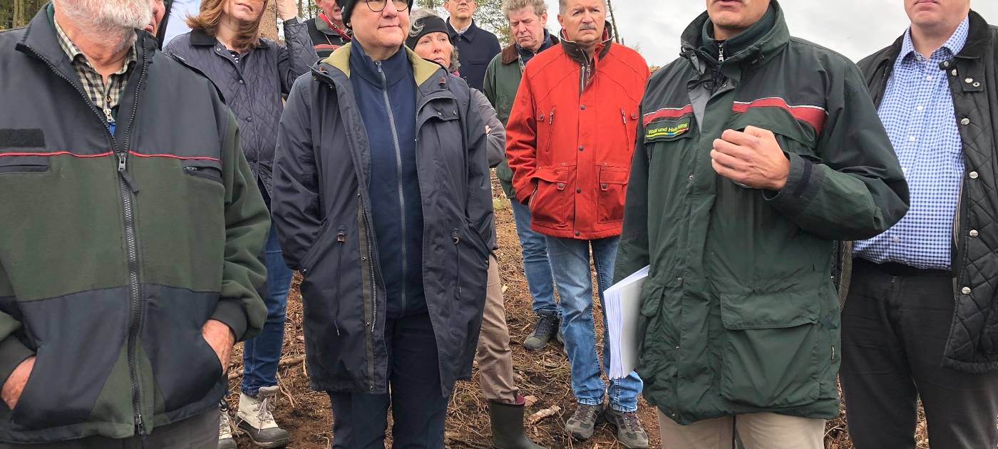 Käfer fressen den Kreis kahl!