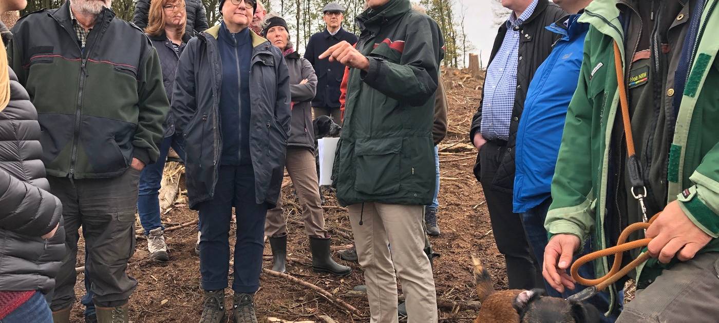 Käfer fressen den Kreis kahl!