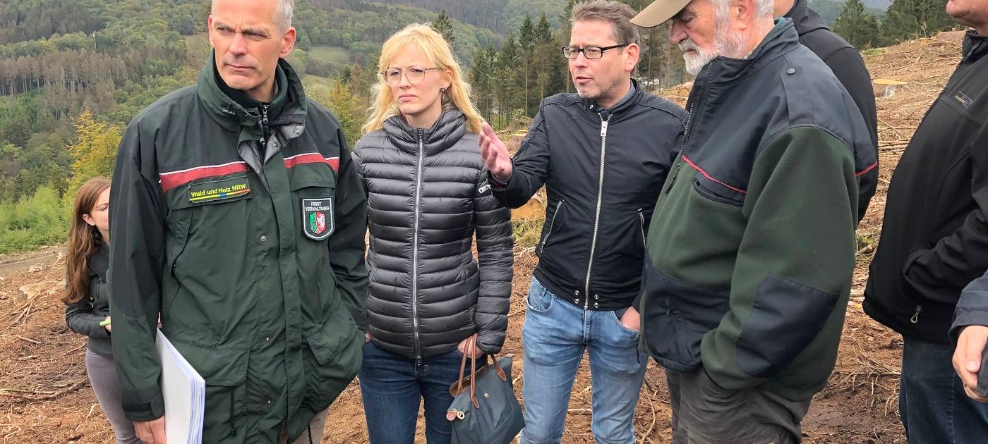 Käfer fressen den Kreis kahl!