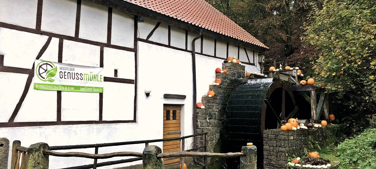 Wasserräder nutzen, um Strom zu erzeugen