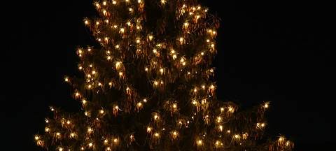 Lüdenscheid bekommt heute seine Weihnachtstanne