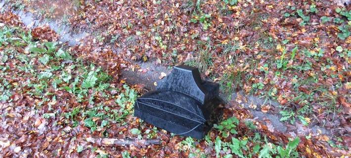 Umweltprojekt Iserlohn fördert Verantwortungsbewusstsein