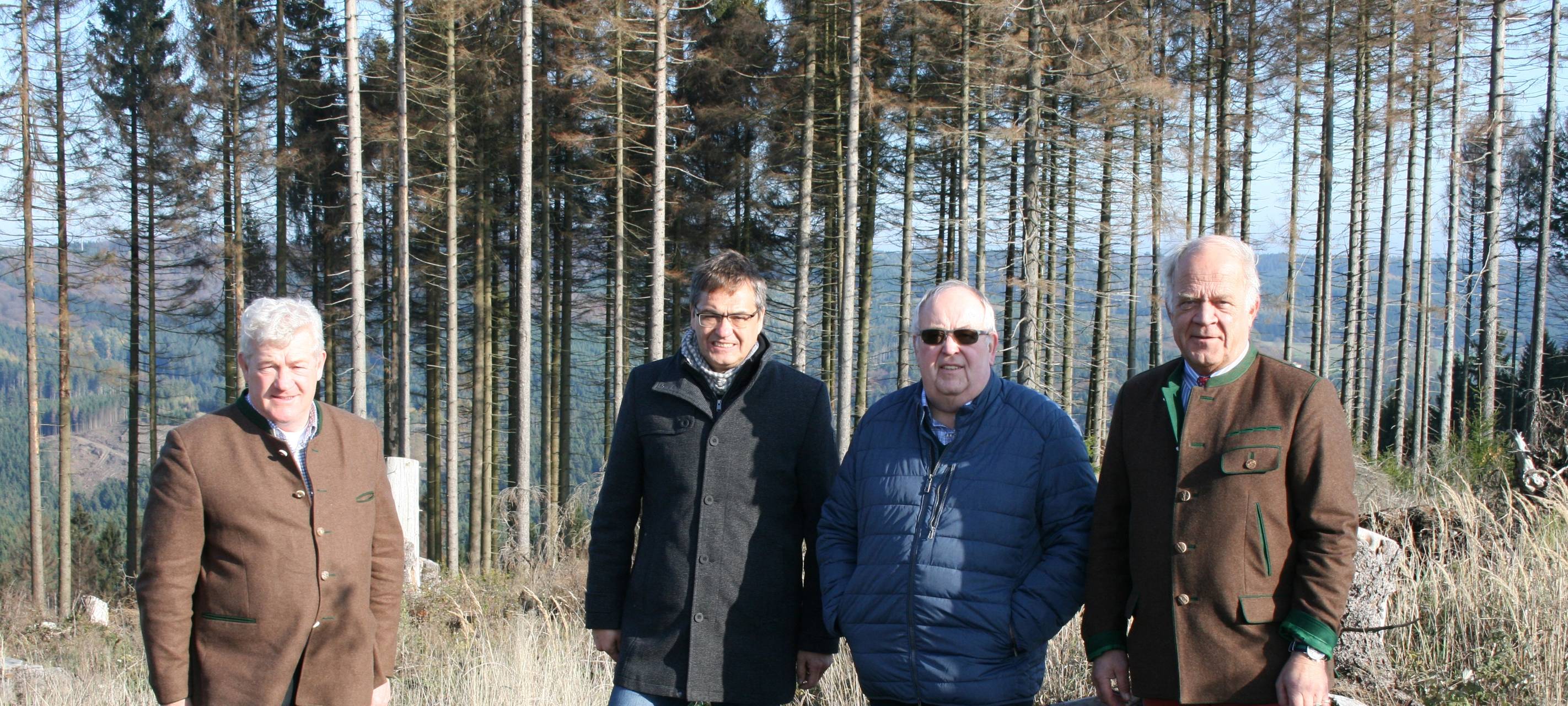 Waldbauern durch Schäden verzweifelt