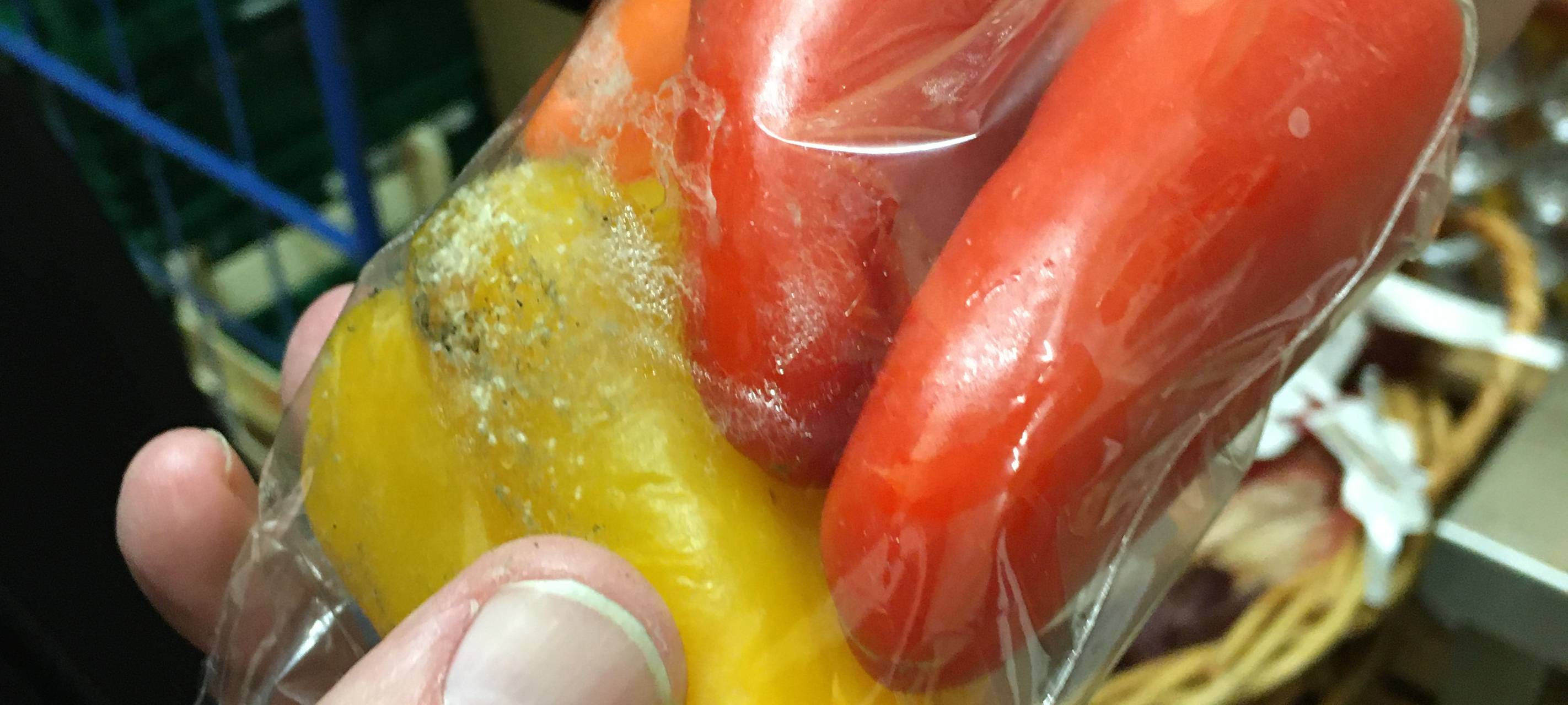 "Containern" - sollte das legal sein?