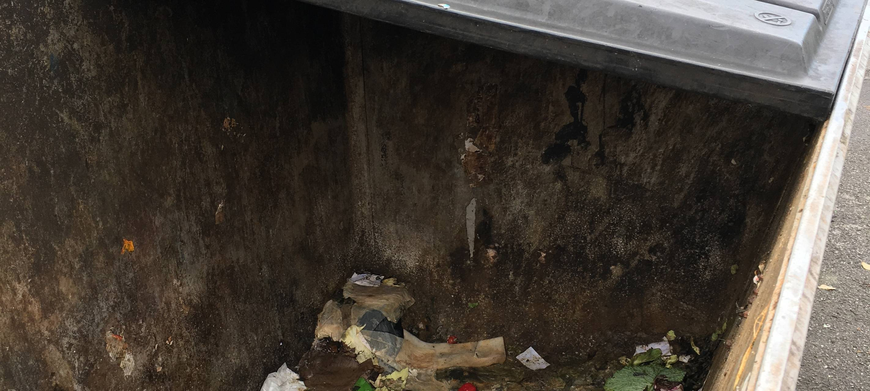 "Containern" - sollte das legal sein?