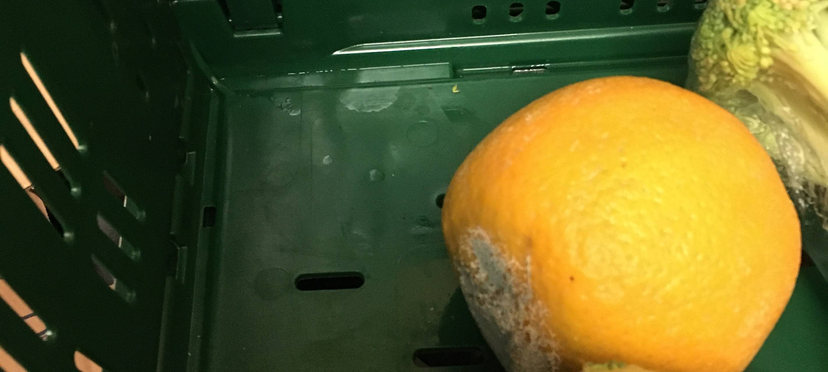 "Containern" - sollte das legal sein?