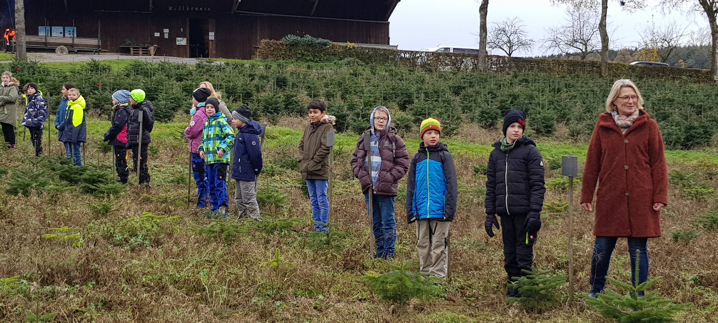 Eröffnung der Weihnachtsbaumsaison 2019 NRW in Neuenrade