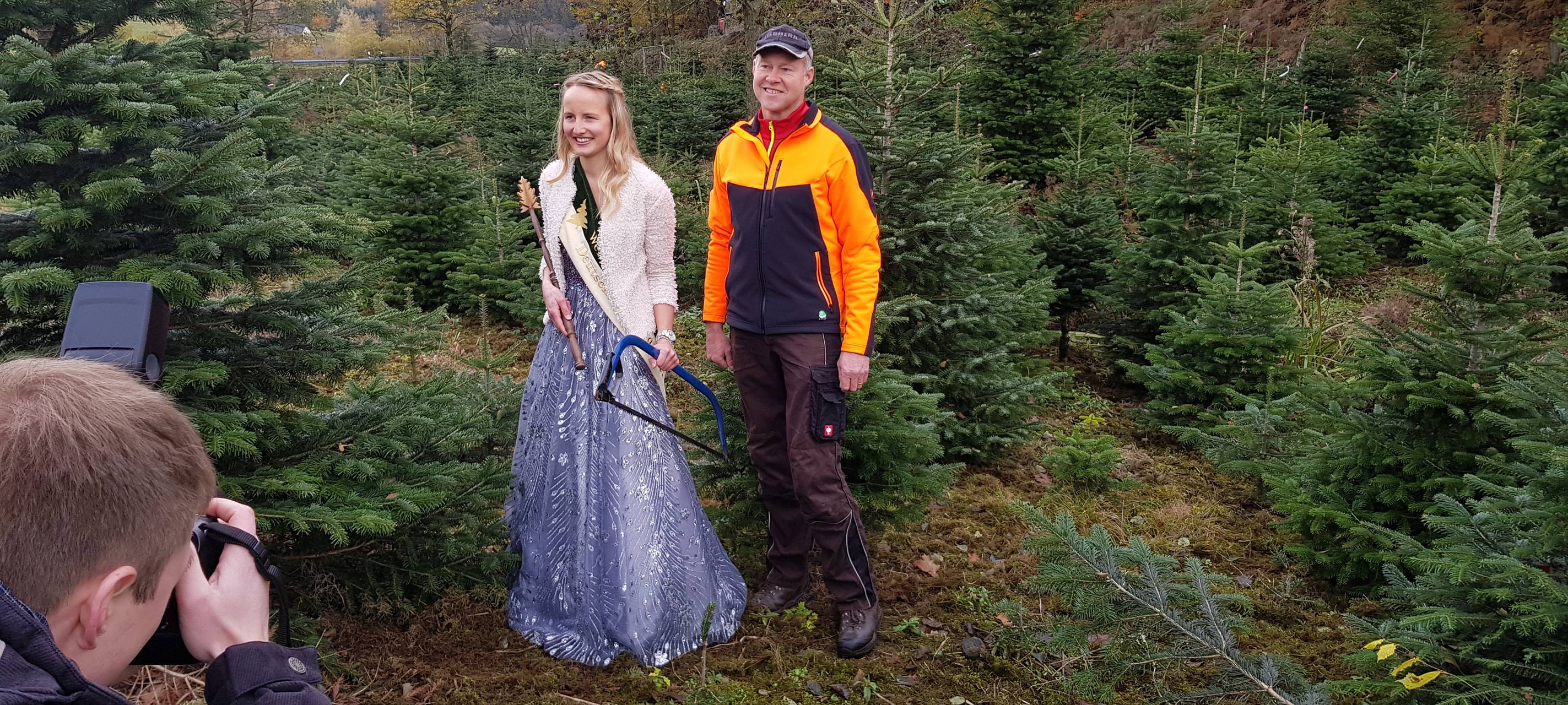 Weihnachtsbaumsaison eröffnet