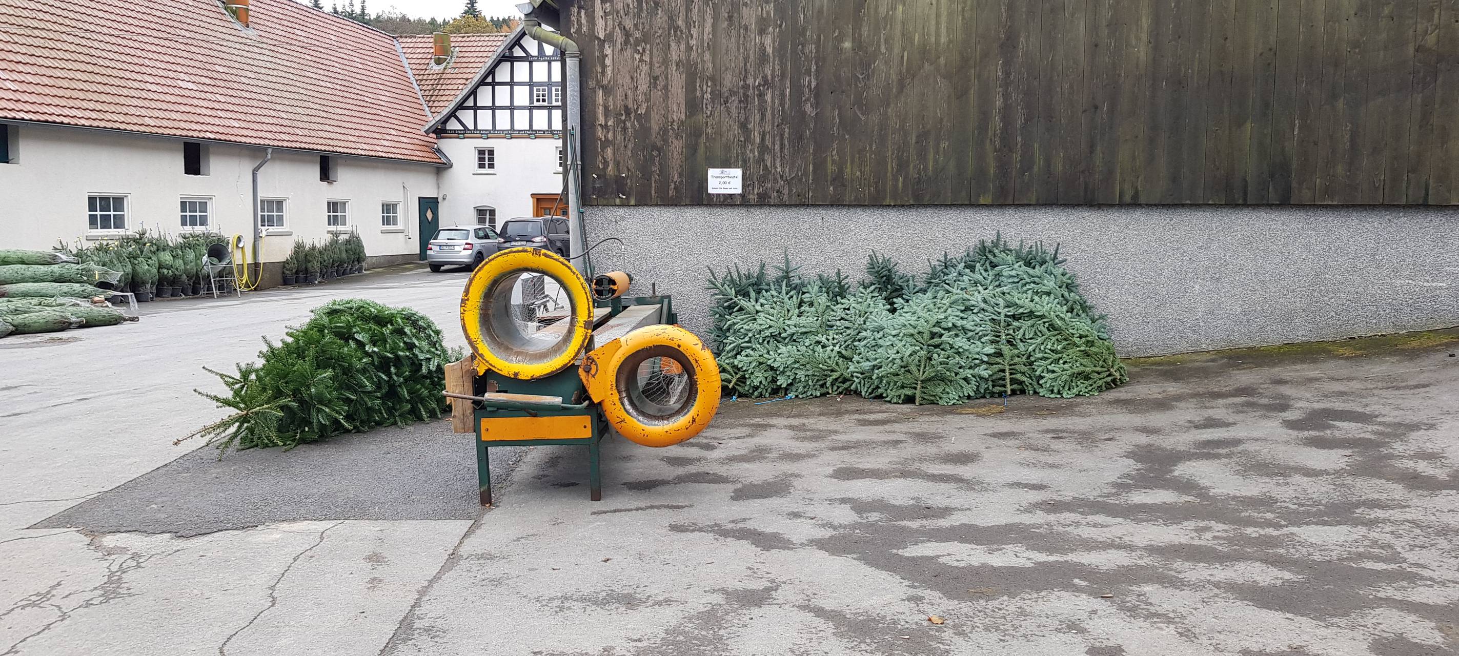 Eröffnung der Weihnachtsbaumsaison 2019 NRW in Neuenrade