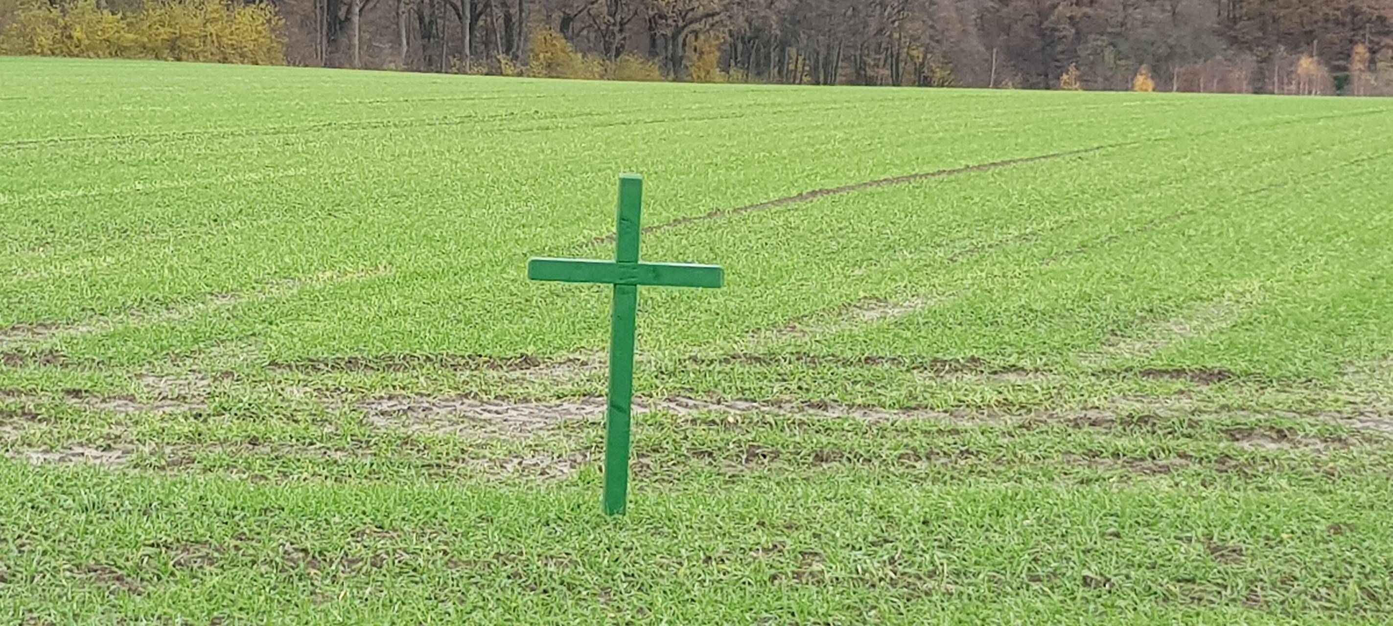 Grüne Kreuze auf unseren Feldern sind Protestaktion