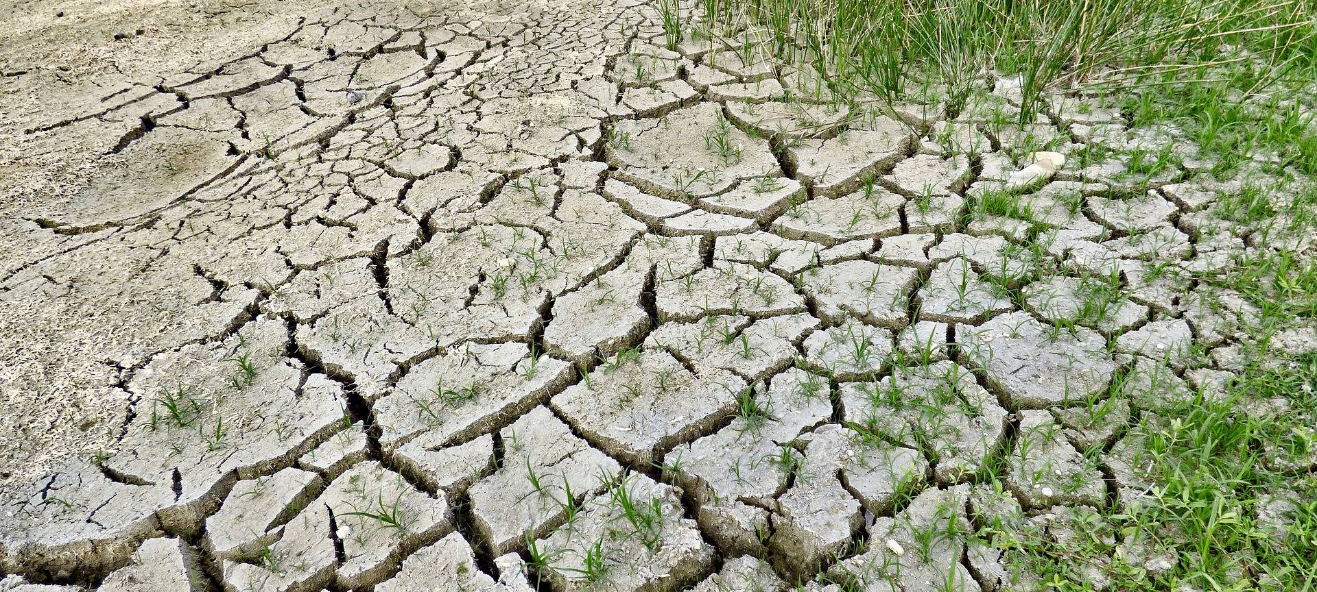 Tipps gegen Klimawandel