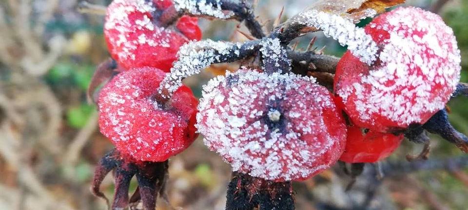So schön ist der Winter im Märkischen Kreis