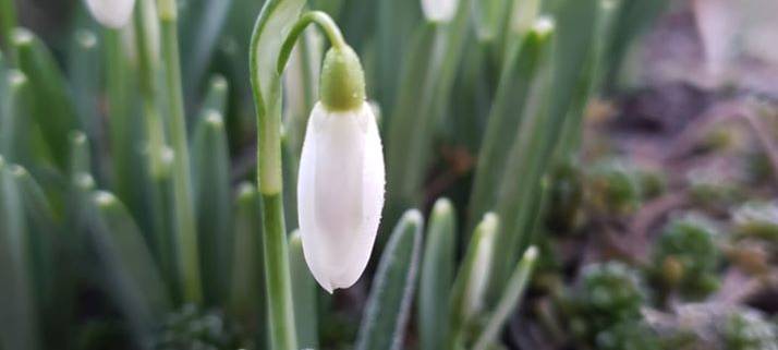 So schön ist der Winter im Märkischen Kreis