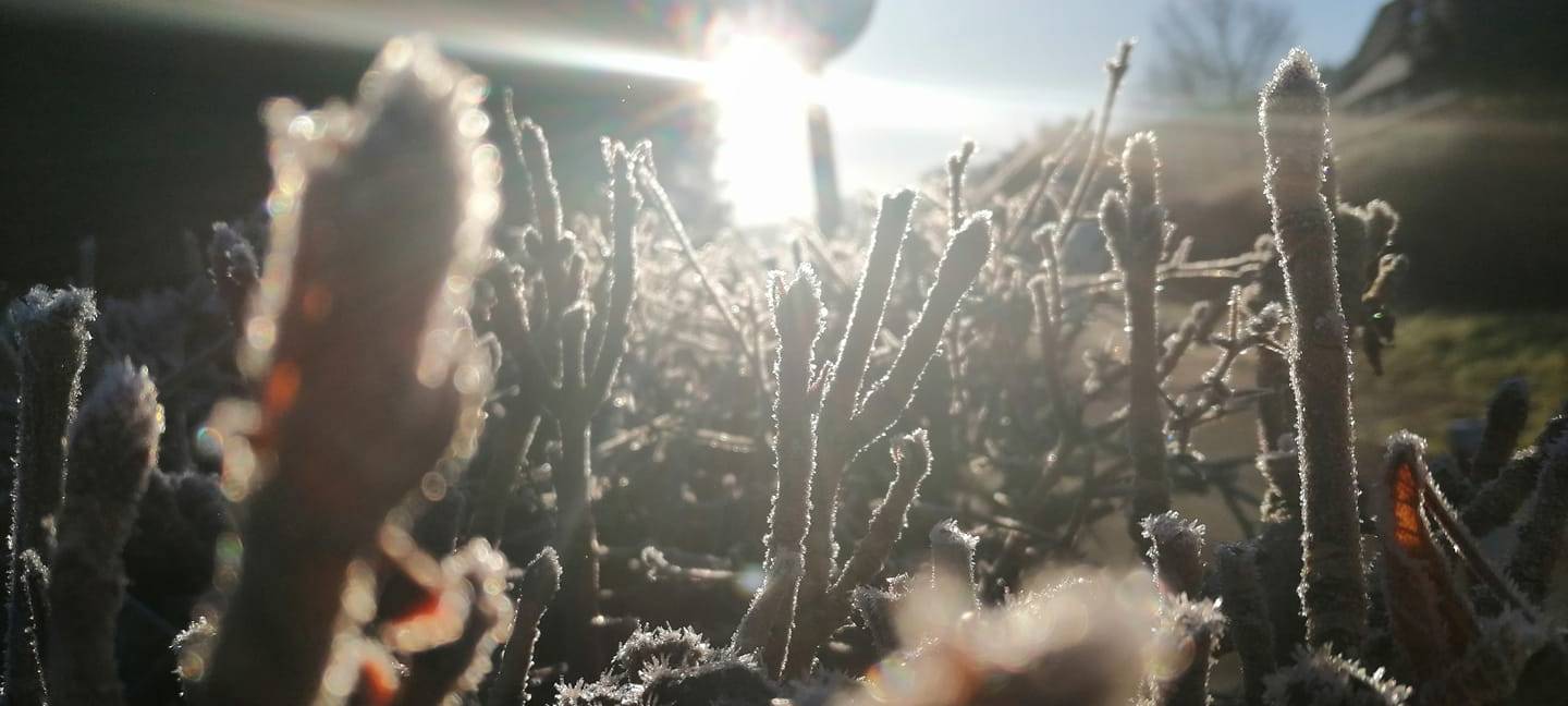 So schön ist der Winter im Märkischen Kreis