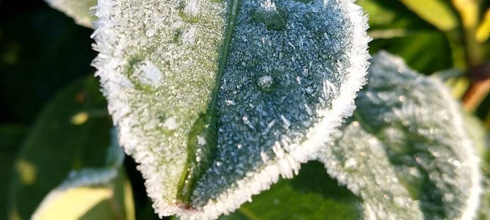 So schön ist der Winter im Märkischen Kreis