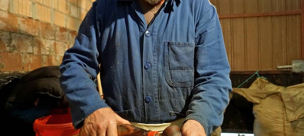 Schnipp, Schnapp - Willi macht die Wolle ab!