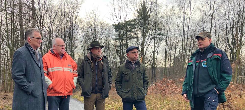 Aufforstung im Mendener Wald: Bürokratie ist das Problem