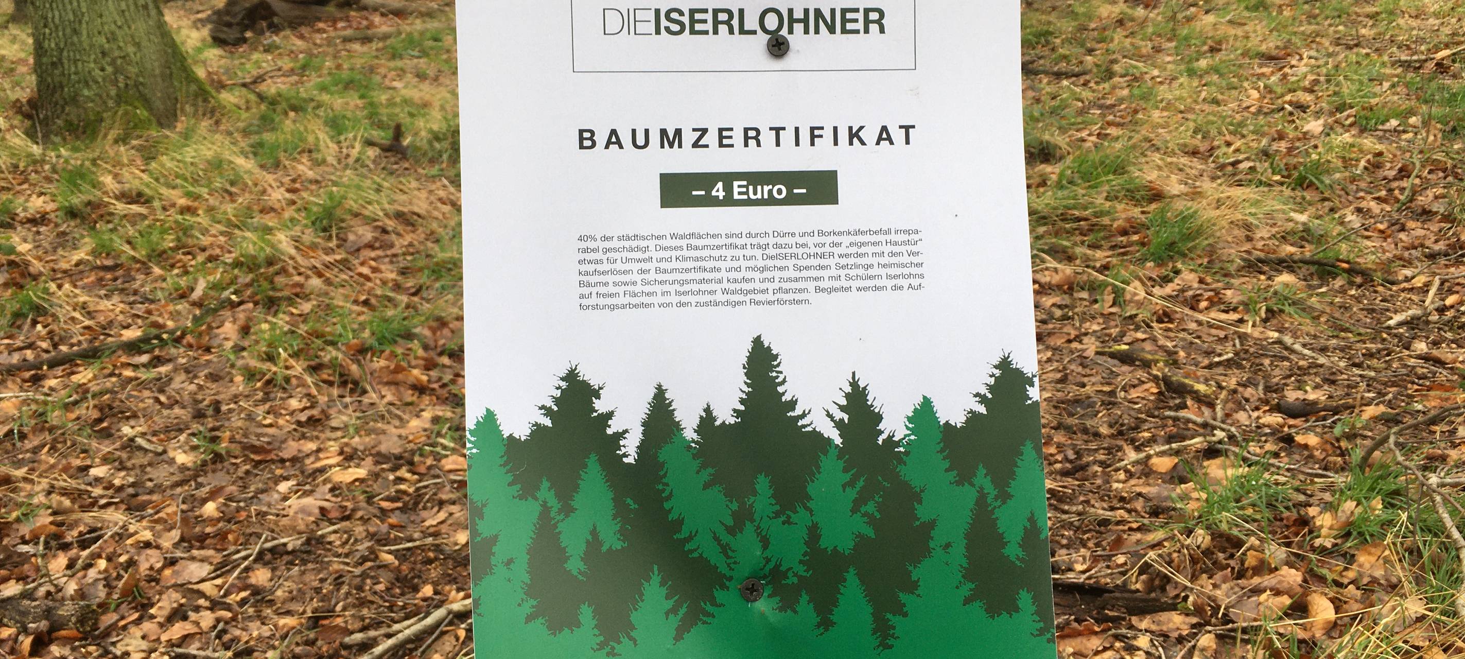 Baumpflanzaktion in Iserlohn-Letmathe