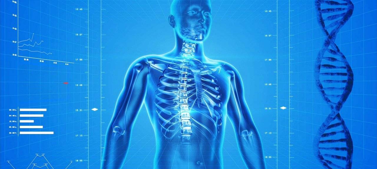 Rückenbeschwerden im Homeoffice nehmen zu