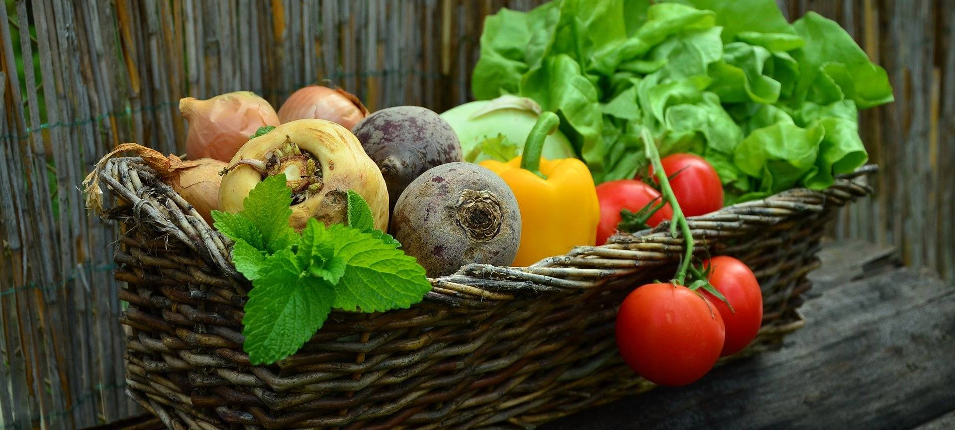 Ernährungsberater zu einem Leben ohne Fleisch