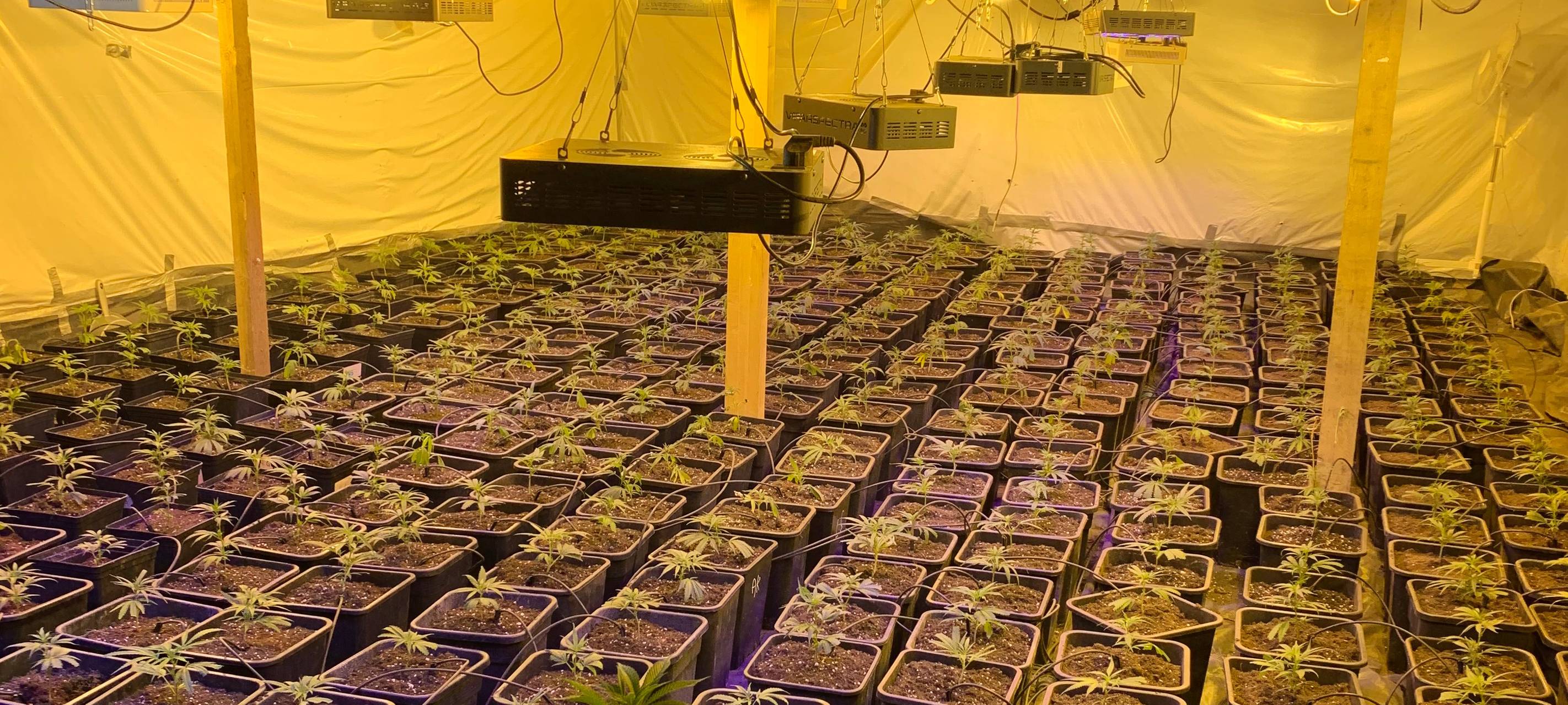 Neue Infos nach Razzia in Lüdenscheid