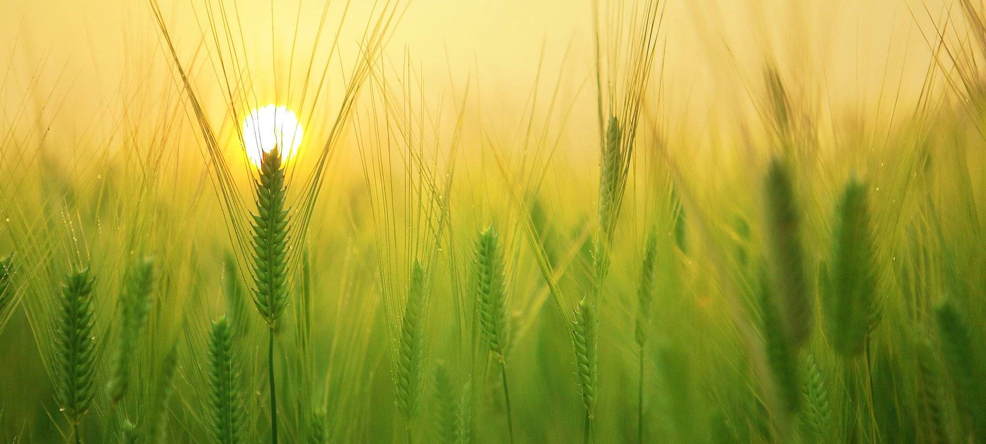 Viel Mehrarbeit für Bauernhöfe im MK
