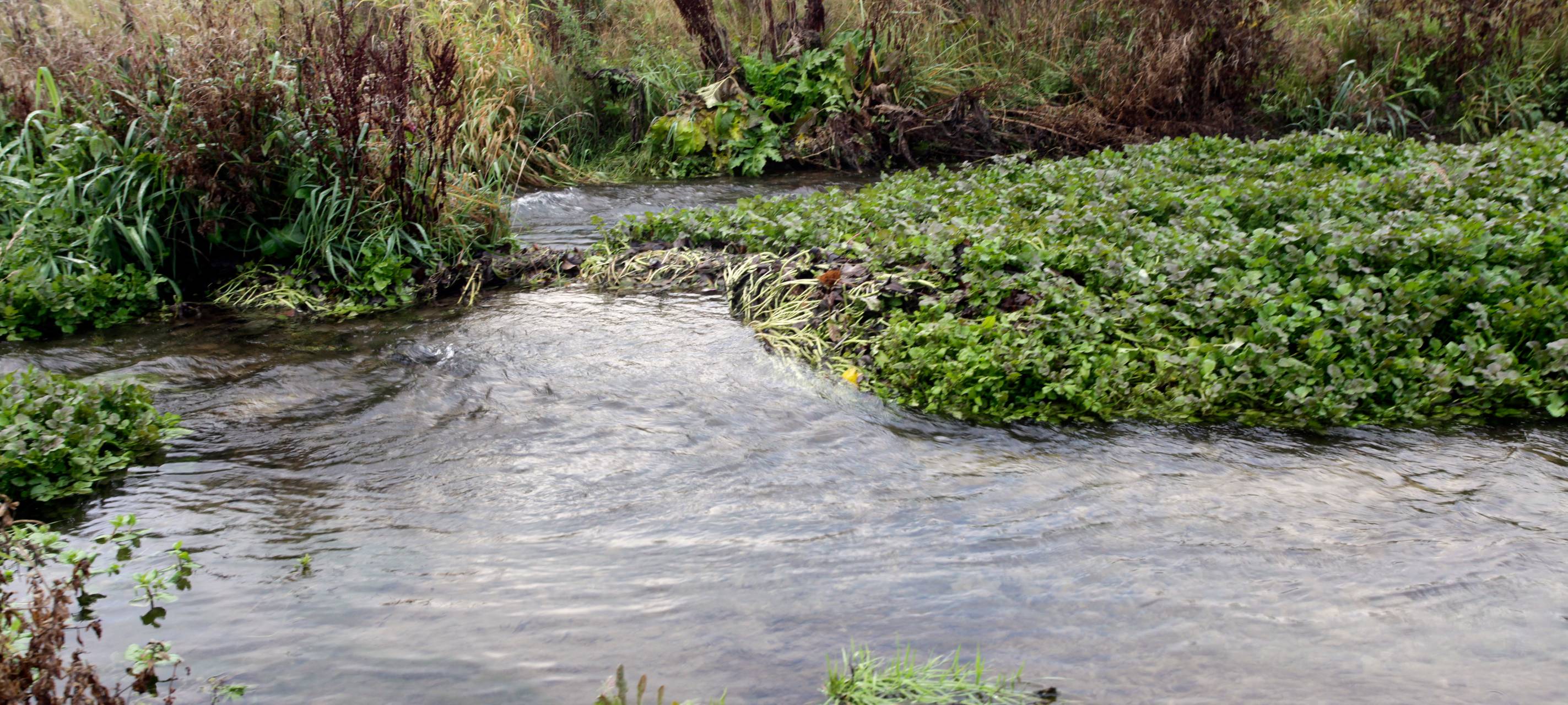 Ermittlungen zu Heizöl im Caller Bach