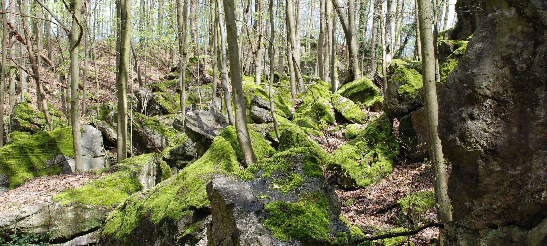 Hemeraner Highlights: Ab durch die Natur