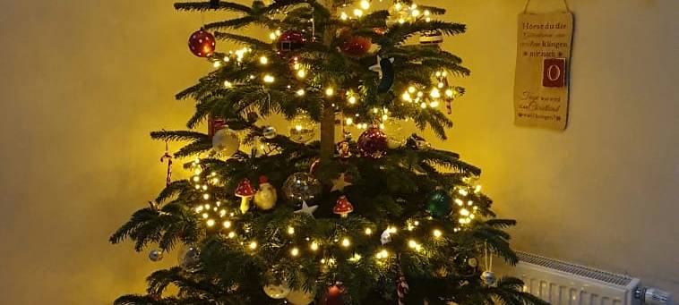 Weihnachten im Hochsommer!