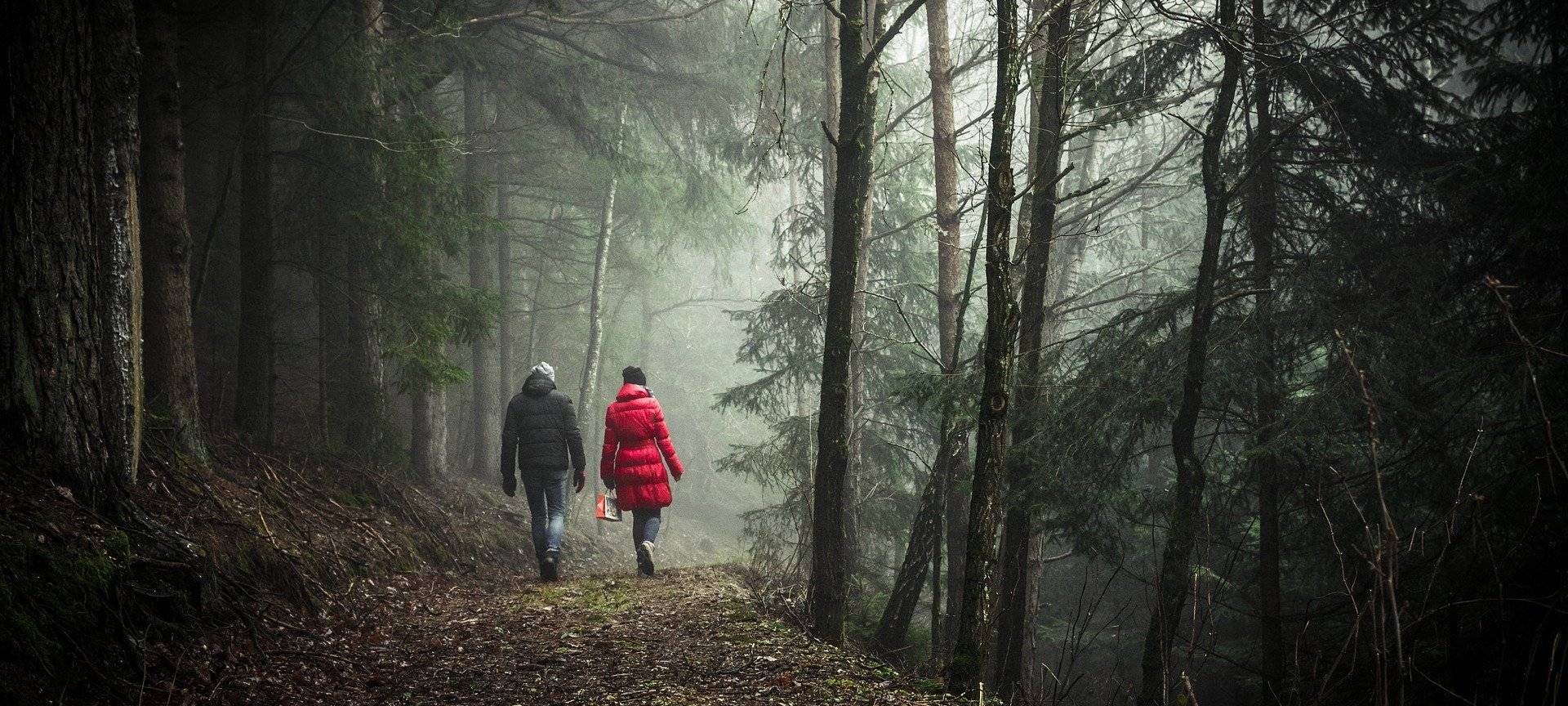 Zwei Menschen wandern im Wald.
