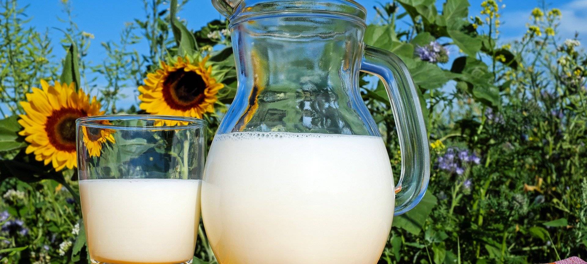 Milchautomat bald in Menden-Oesbern