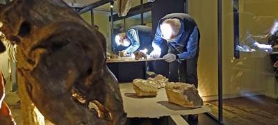 "Lichtfinger" bringt Licht in die Kunsthöhle