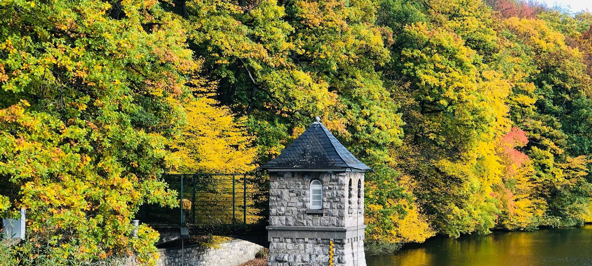 Herbstlicher MK -