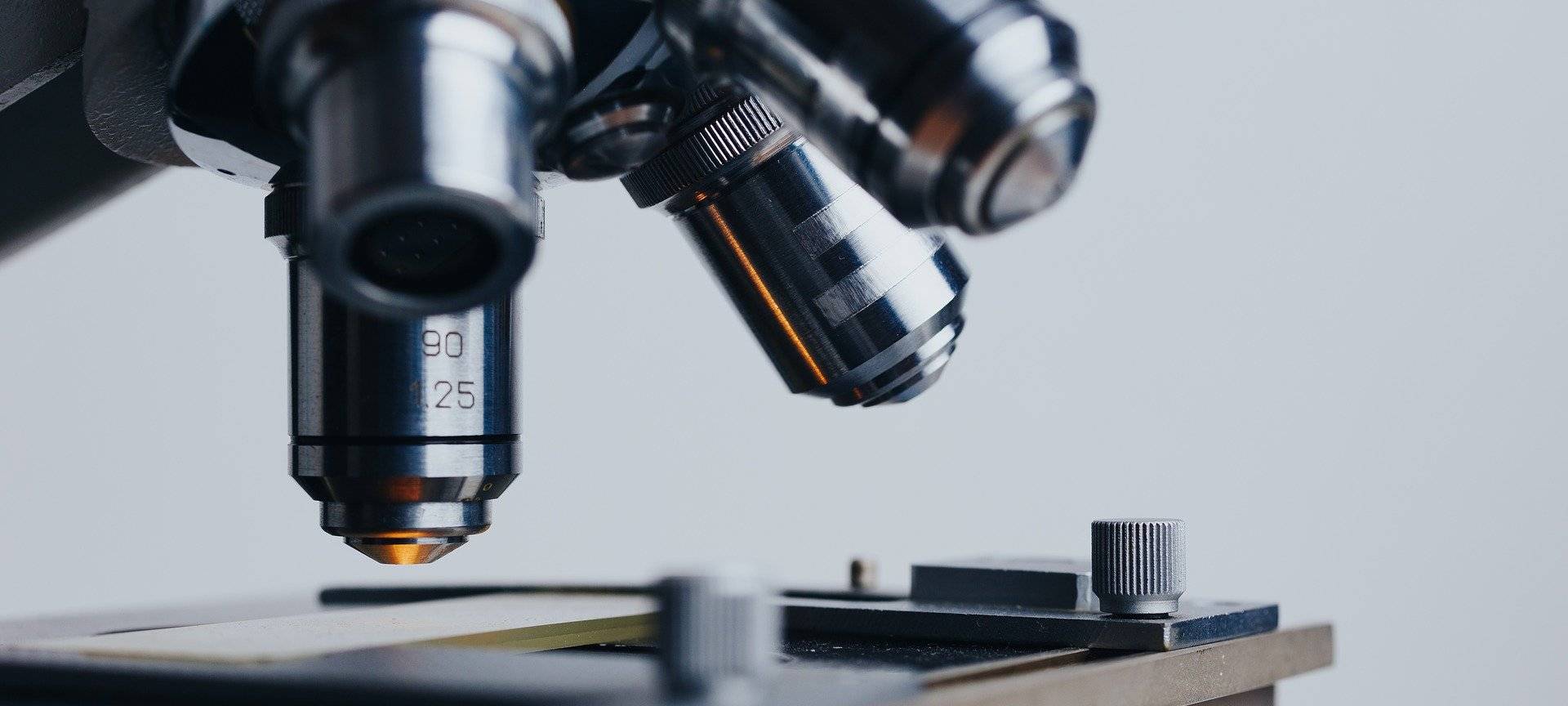 Unterstützung für den Wissenschafts-Nachwuchs