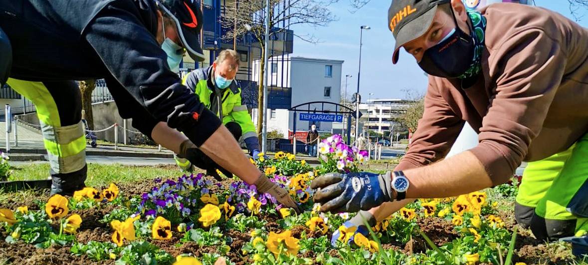 Blumenmeer in Lüdenscheid