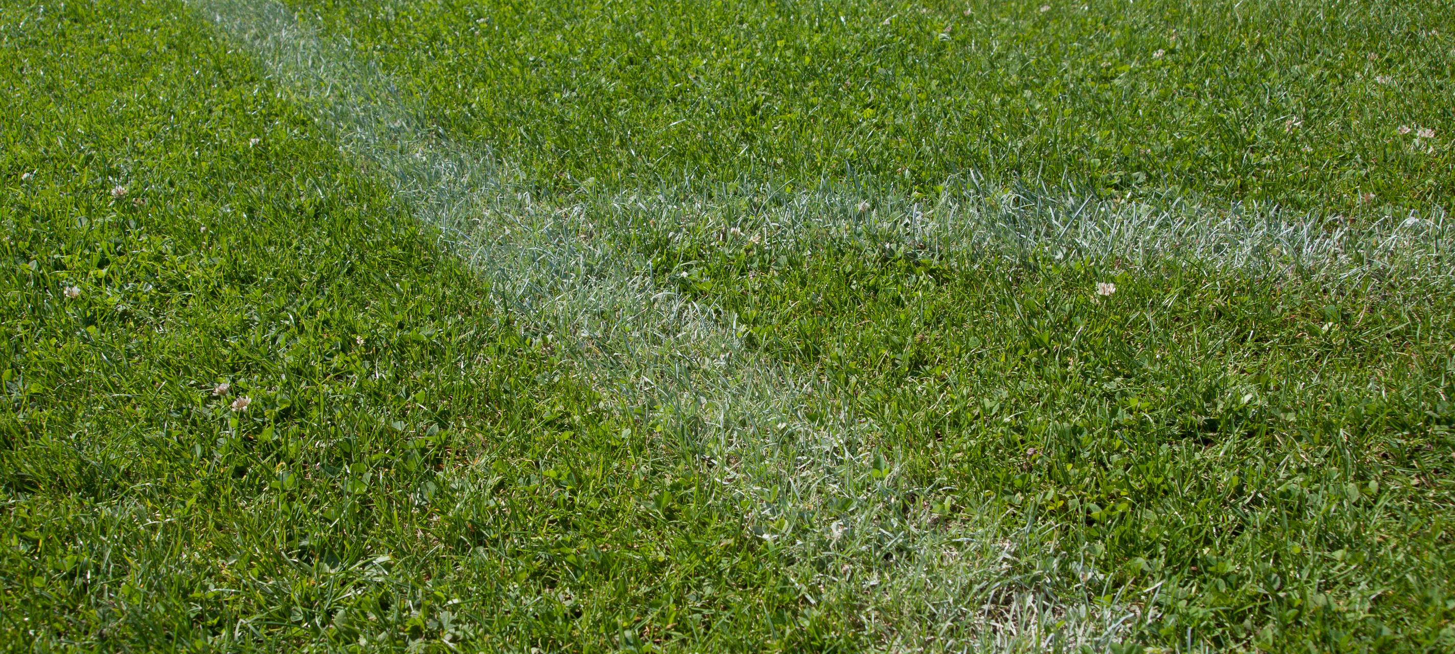 Sportmeldungen am Sonntag