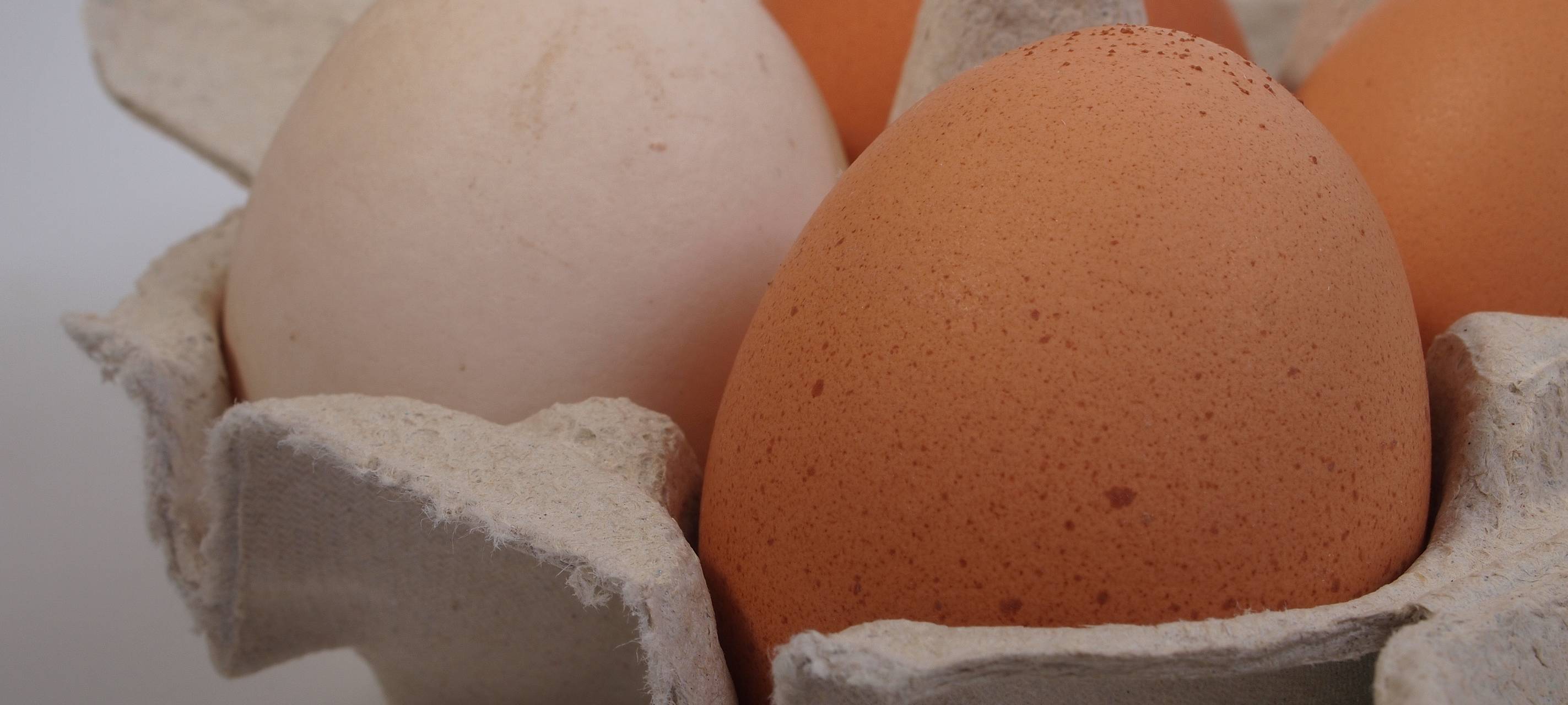 Vandalismus an Halloween - Phänomenta Fassade in Lüdenscheid beschmiert