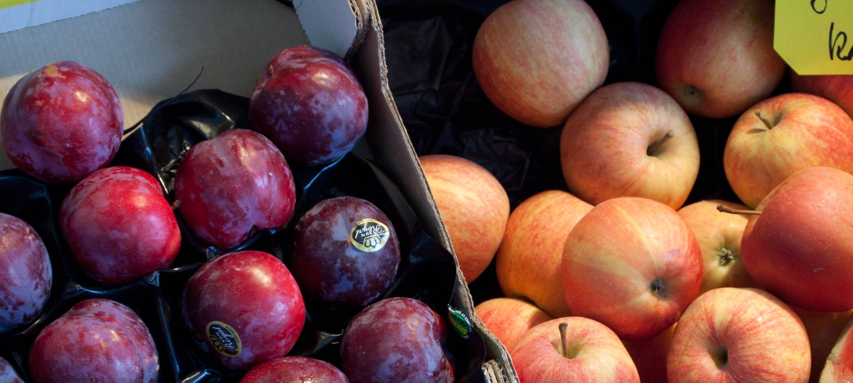 Pflaumendiebe in Kierspe