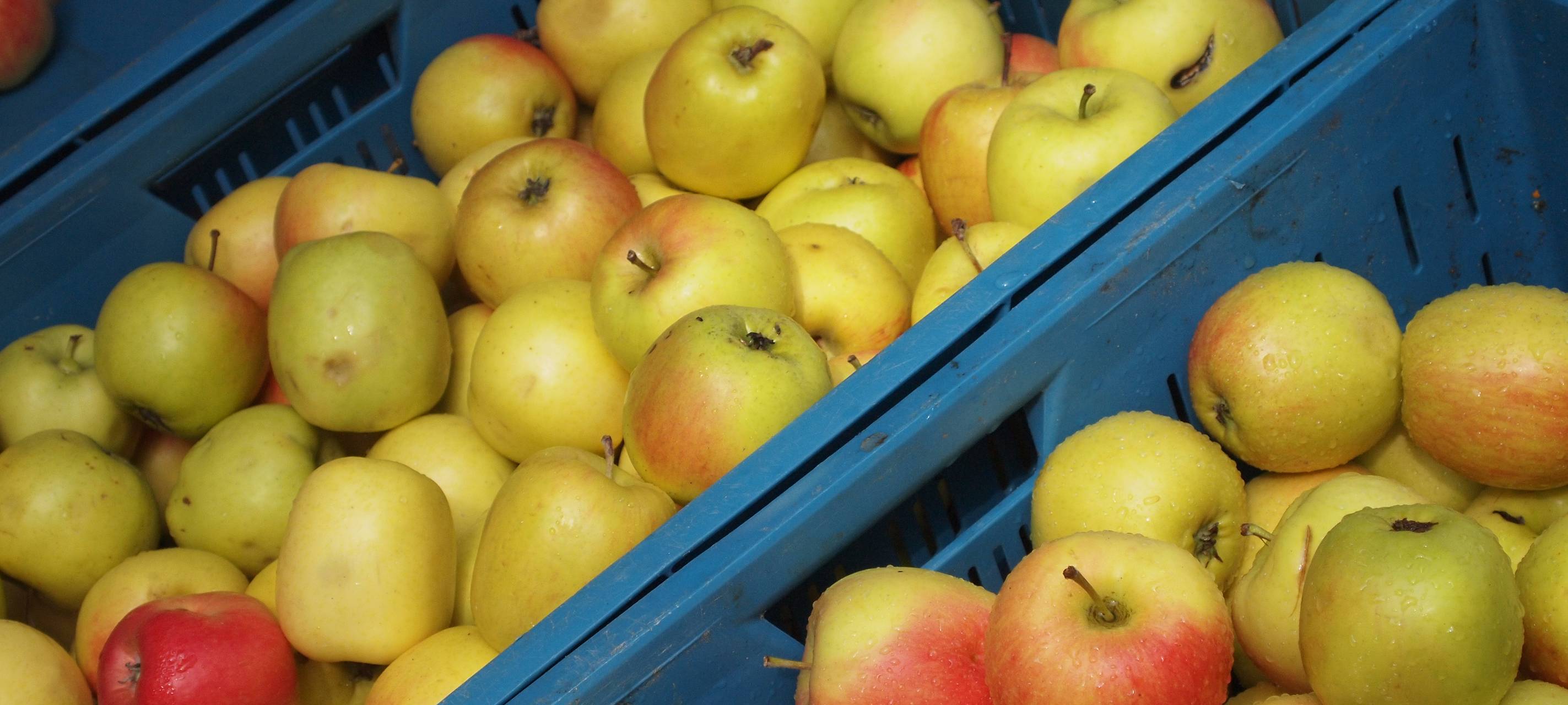 Wochenmärkte wegen Feiertagen verlegt