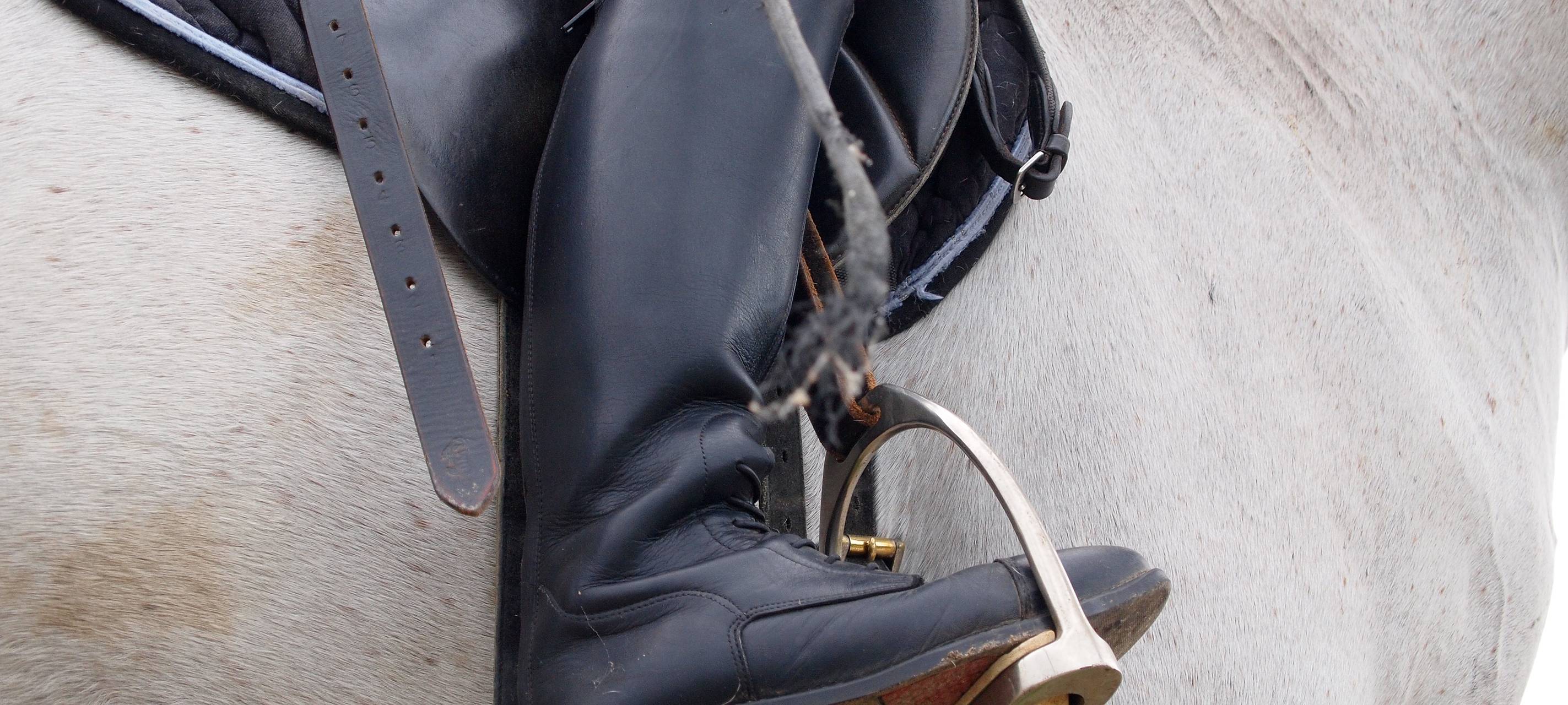 Reiten ohne Zuschauer