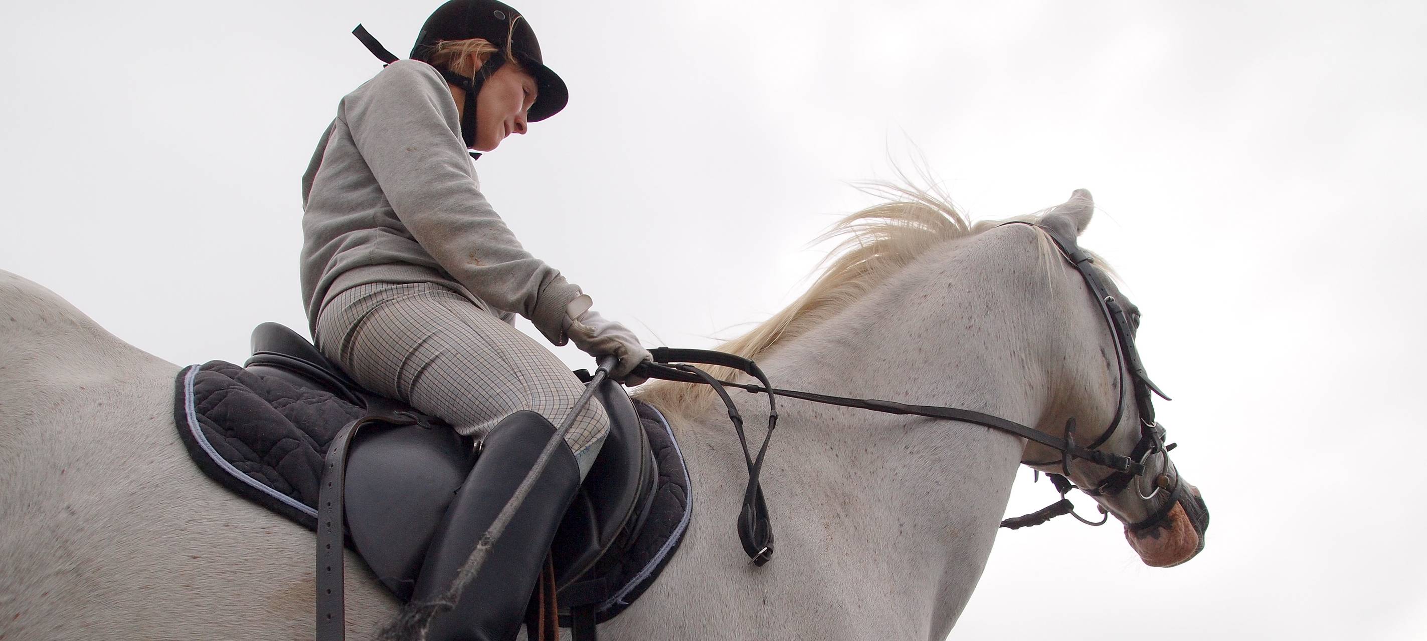 Horror-Reiterunfall in Iserlohn