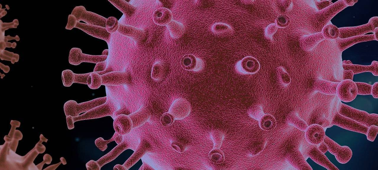 MK plant: Ausgangssperre und Distanzunterricht!