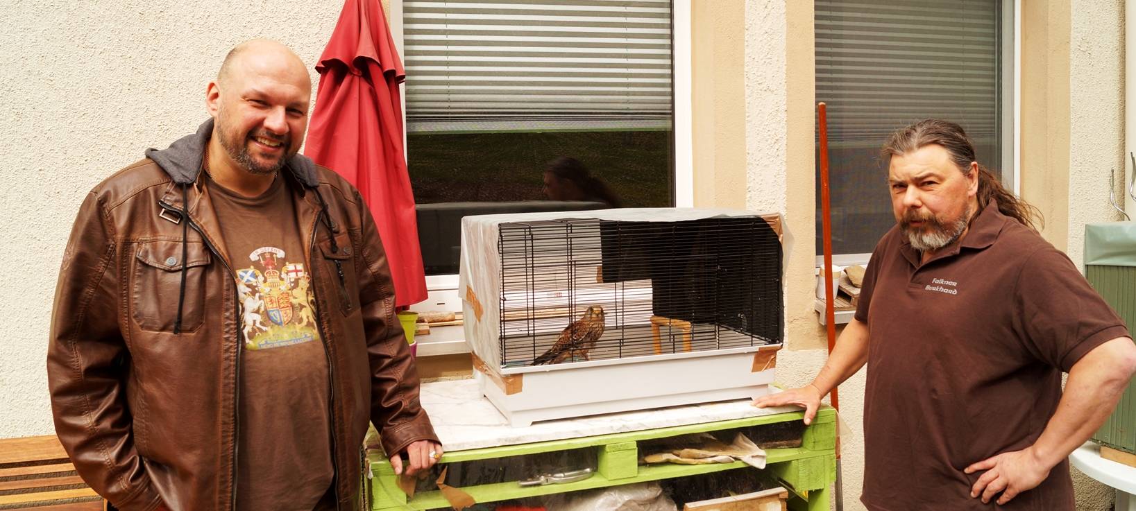 Turmfalke Sirius gerettet