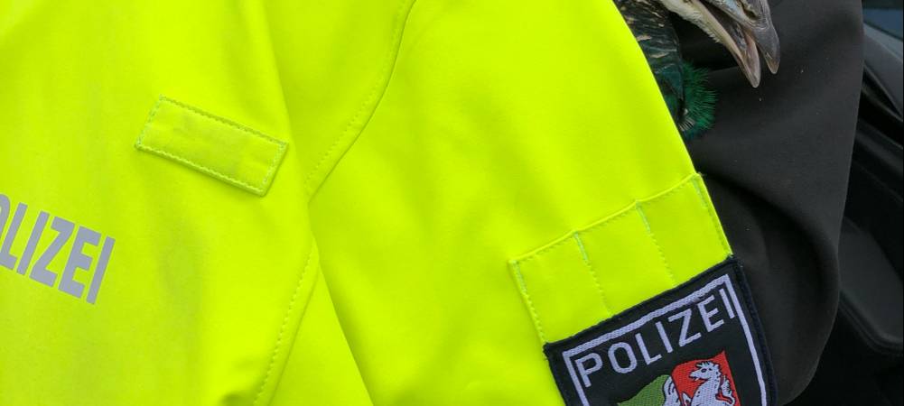 Pfauenjagd in Halver