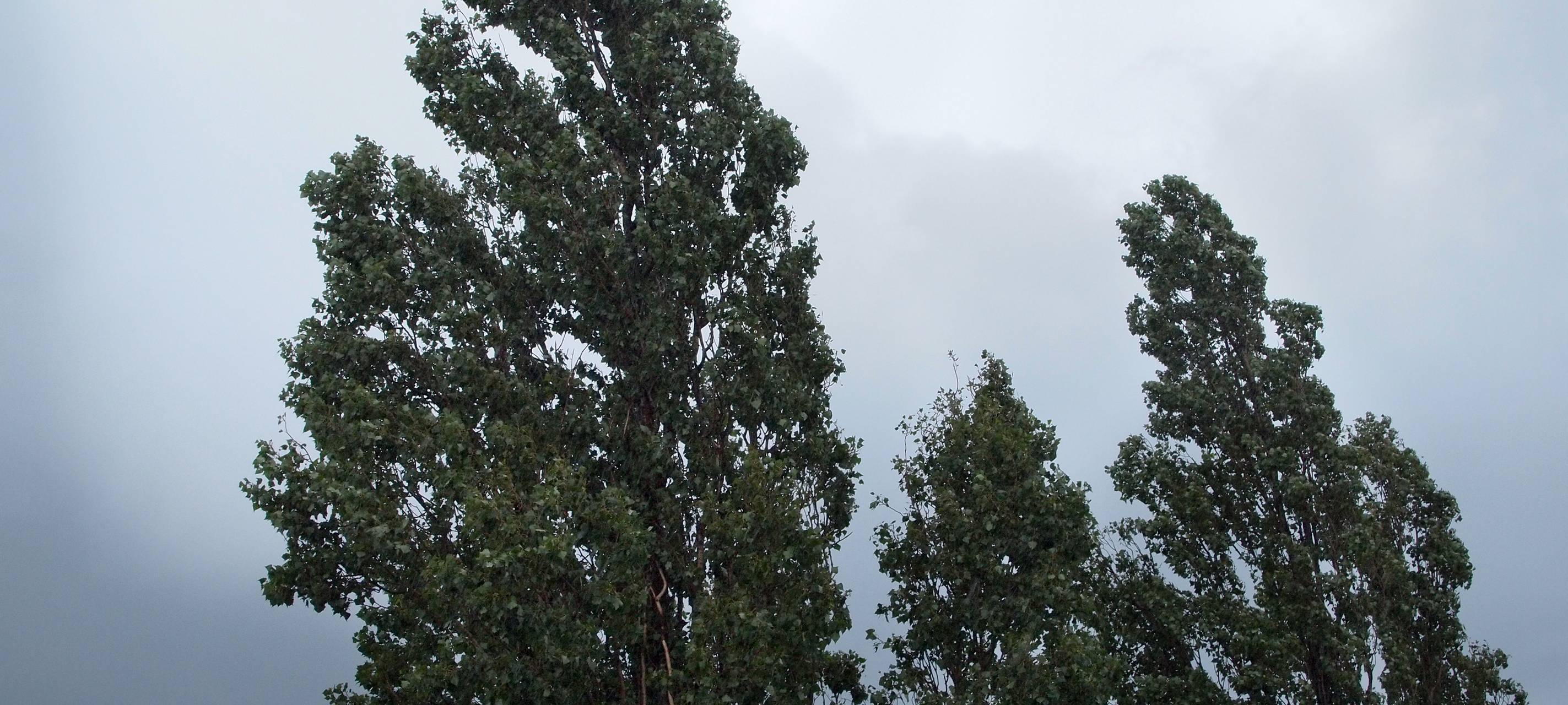 Wärmerer November mit weniger Sonne