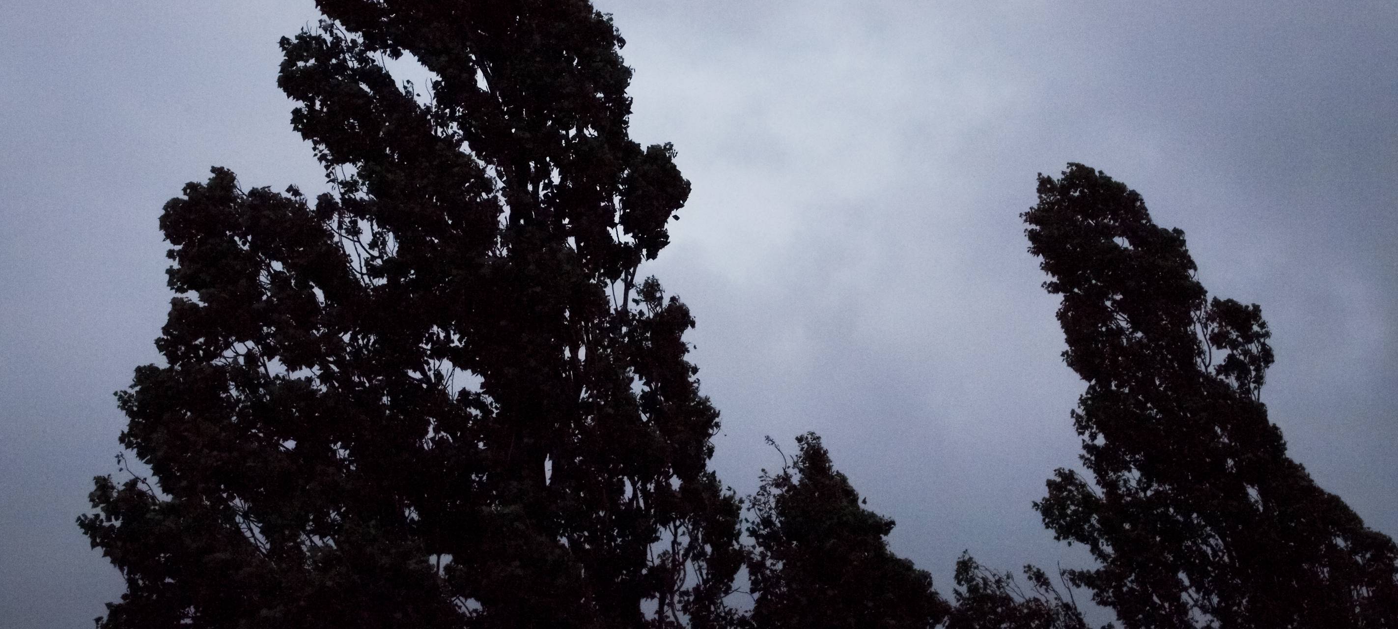 Kaputte Straßen in Lendringsen werden nach Starkregen saniert